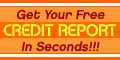 Experian Free Credit Report